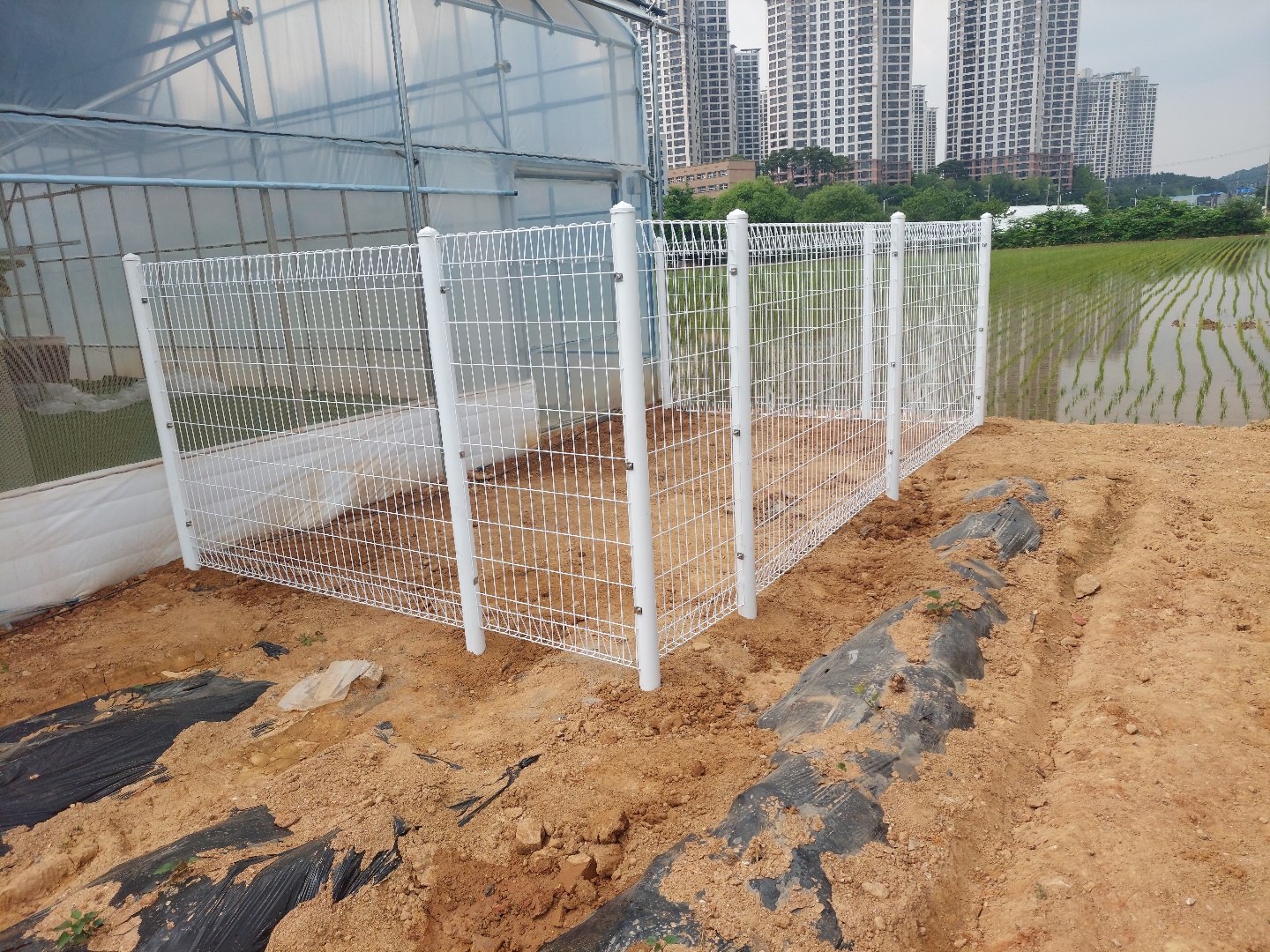 2000769928_MWuoi6Ry_f70a02591adf62065d76f2e77fff50b1a08b2d24.jpg 이미지크게보기