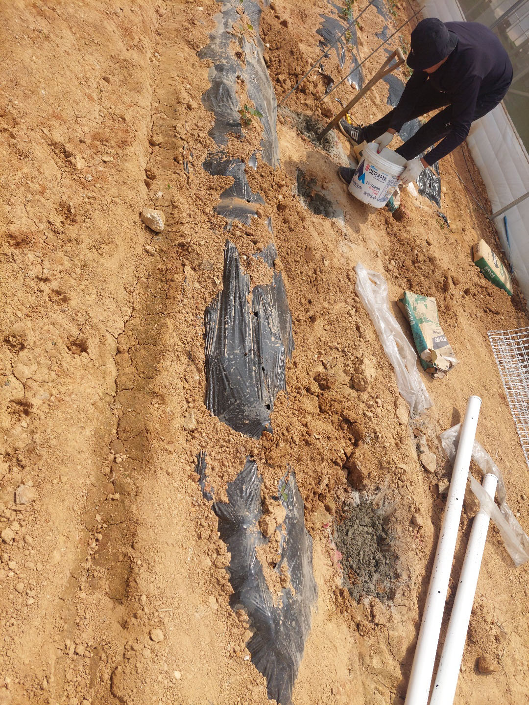 2000769928_gyamJw6B_80e07375614b66986bb1bc16900e123176e86a11.jpg 이미지크게보기