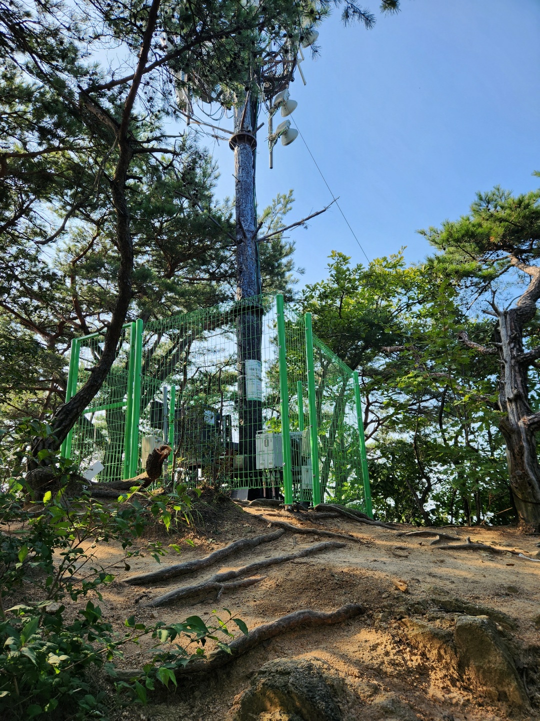 /user/0/01085491322/editor/2210/22ffdaa9465ecd9d0e2bf0aa0374f869_1664846705_6782.jpg 이미지크게보기