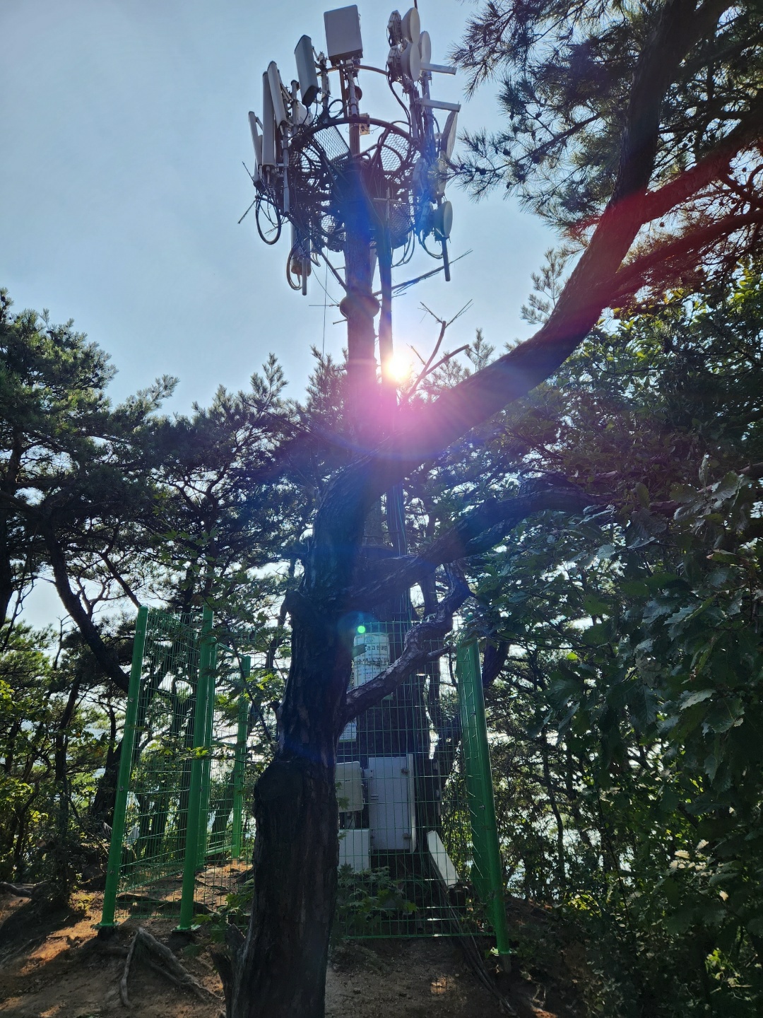 /user/0/01085491322/editor/2210/22ffdaa9465ecd9d0e2bf0aa0374f869_1664846705_9176.jpg 이미지크게보기